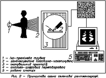 statya2.jpg