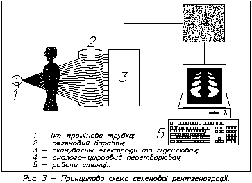 statya3.jpg